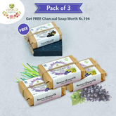 Refreshing Oil Bars and Charcoal Detox - Vanaura Organics