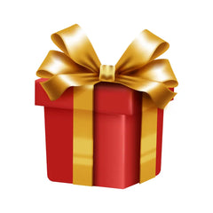 Surprise Gift 1